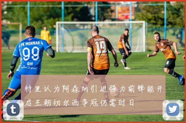 特里认为阿森纳引进强力前锋能开启王朝切尔西争冠仍需时日
